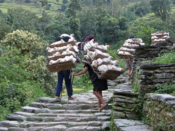 Ghorepani- Poonhill Trek